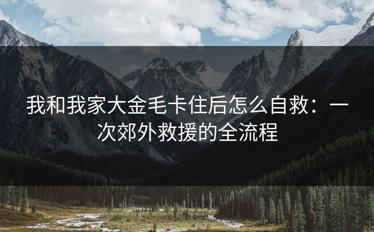我和我家大金毛卡住后怎么自救：一次郊外救援的全流程