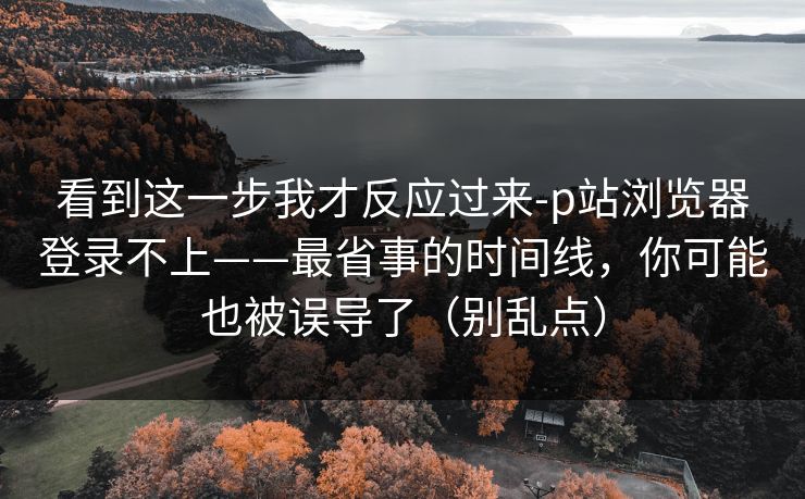看到这一步我才反应过来-p站浏览器登录不上——最省事的时间线，你可能也被误导了（别乱点）
